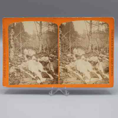 Stereograph: Delaware Water Gap, Penna