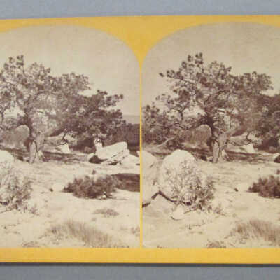 Stereograph: Views Among the Rocky Mountains of Colorado