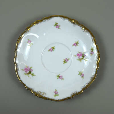 Saucer