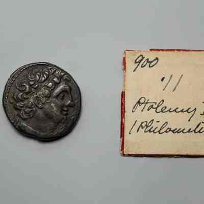 Ptolemy VI Coin (Philometer)
