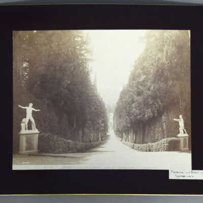 Florence- Boboli Gardens, Cypress Walk