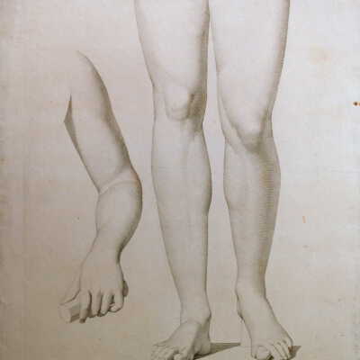 The Anatomy Series: Jambes de l' Appollon (Legs of Apollo)