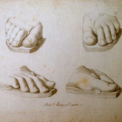 Untitled -The Anatomy Series