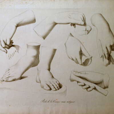 The Anatomy Series: Pieds de la Venus, e main antique (Feet of Venus and antique hand)