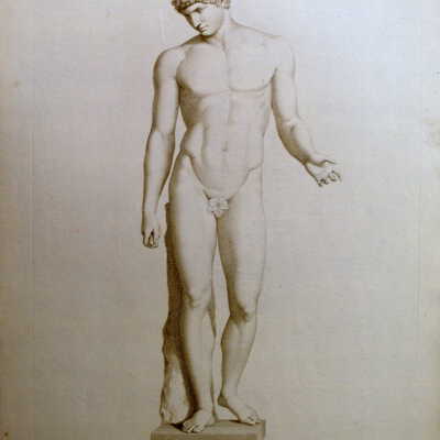 The Anatomy Series: L' Antinous du Capitole (Antinous of the Capital)