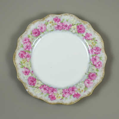 Plate