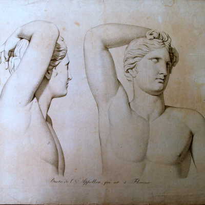 Untitled -The Anatomy Series