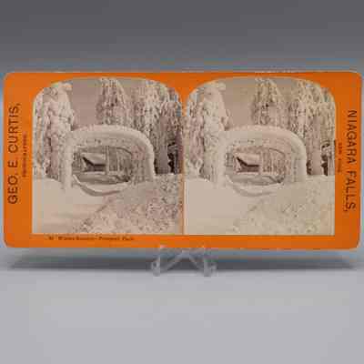 Stereograph: Winter Scenery, Prospect Park