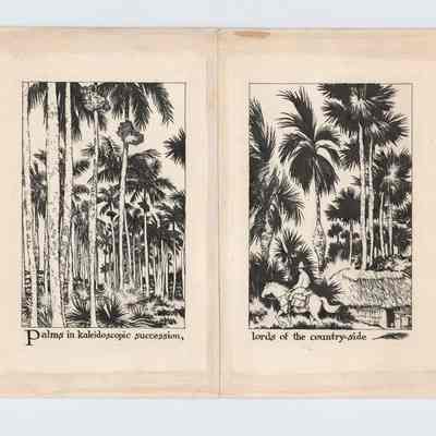 Palms in Kaleidoscopic Succession, Lords of the Countryside