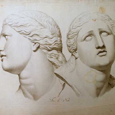 The Anatomy Series: Tete de Niobe (Head of Niobe)