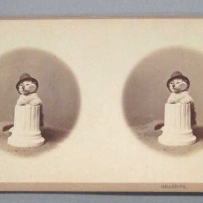 Stereograph: Kittens: Grand-Pa