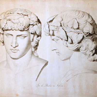 The Anatomy Series:Tete de Bachus au Vatican (Head of Bacchus at the Vatican)