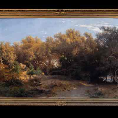 Landscape