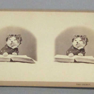 Stereograph: Kitty Series: The Sermon