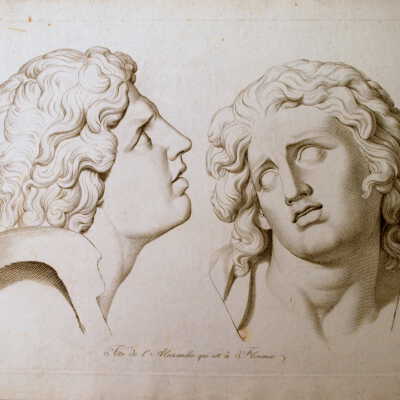 The Anatomy Series: Tete de l' Alexandre qui est a Florence (head of Alexandre in Florence)