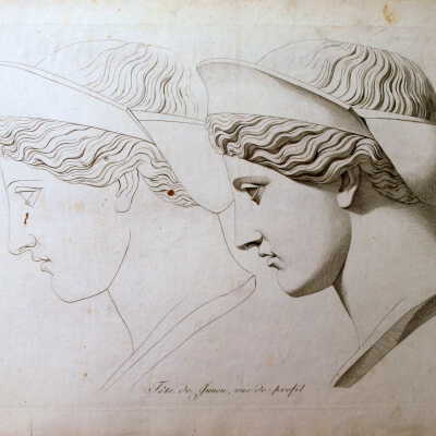 The Anatomy Series: Tete de la Junon de Barberini (Head of junon de Barberini)