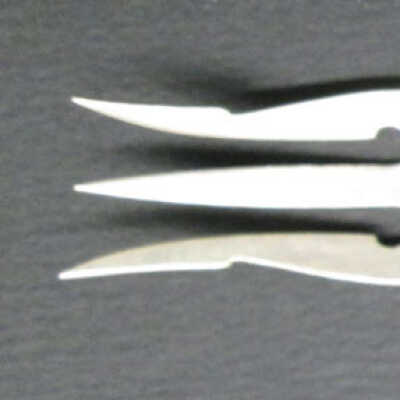 Olive Fork