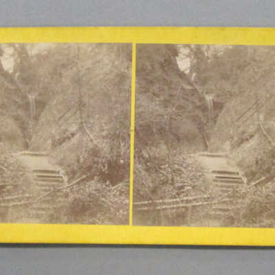 Stereograph: Shanklin Chime, Isle of Night