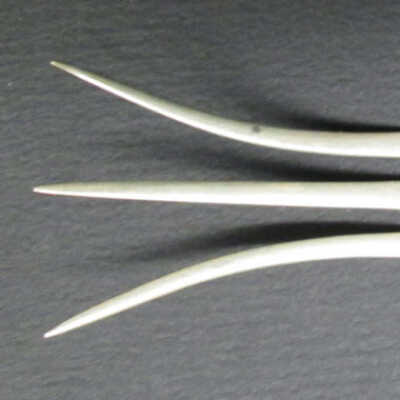 Lemon Fork