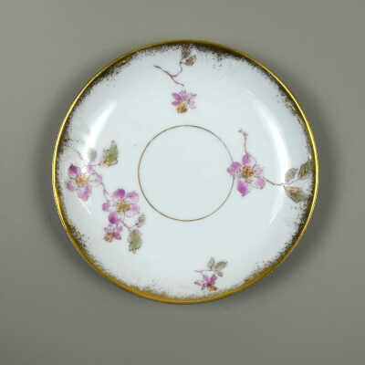 Saucer