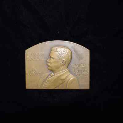President Theodore Roosevelt Medals