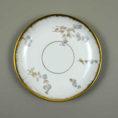 Saucer