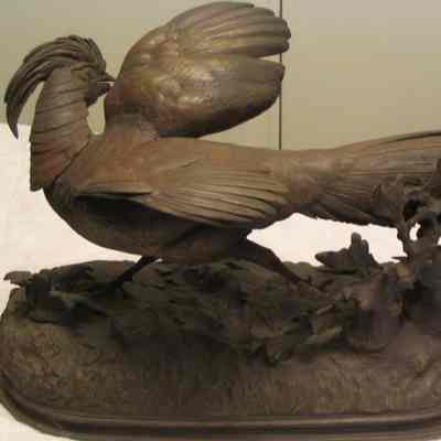 Bronze Plated Cock Pheasant