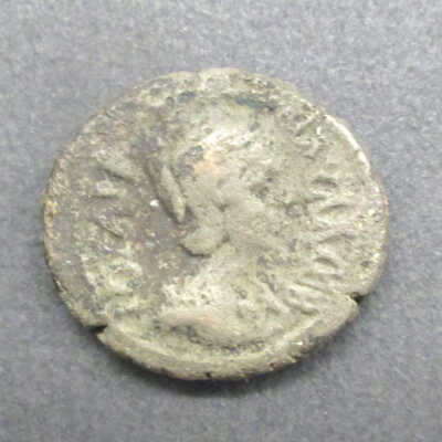 Julia Paula Coin