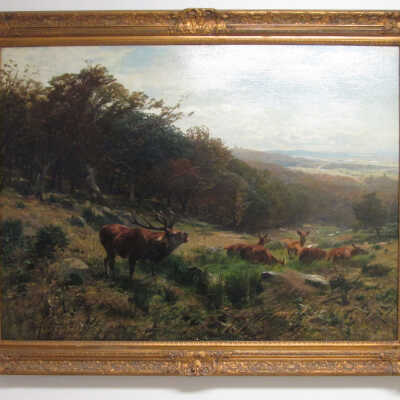 Calling to the Herd