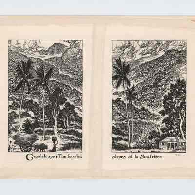 Guadeloupe: The Forested Slopes of Al Soufriere