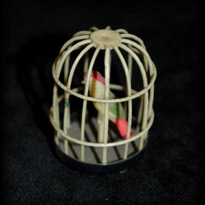 Miniature: bird cage