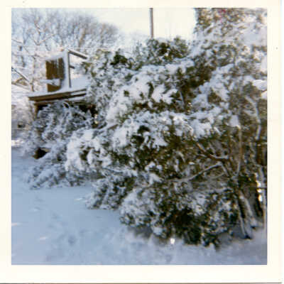 Winter scene at 139 Woodland