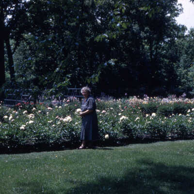 Martin Home