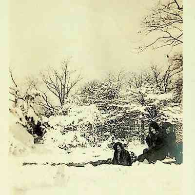 Unidentified photo
