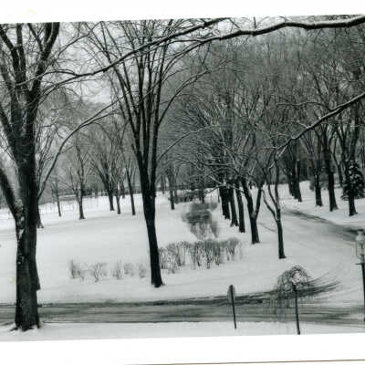Winter scene
