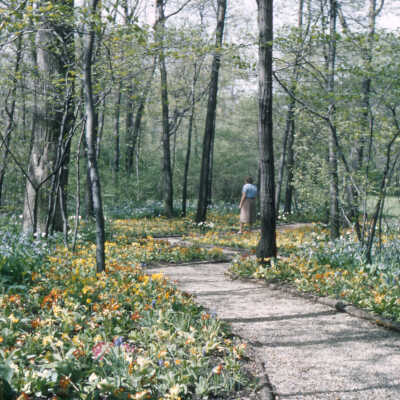 Gardens of Lake Forest