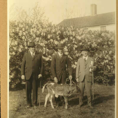 Arthur Meeker with baby cow.