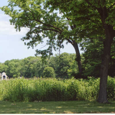 Crab Tree Farm