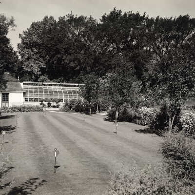 Lawn and greenhouse