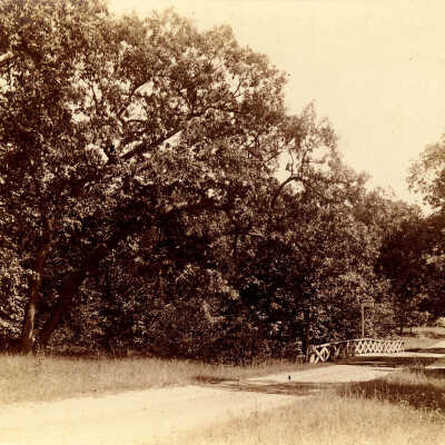 Bridge: Lake Forest College
