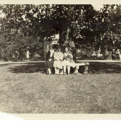 Three women under a tree