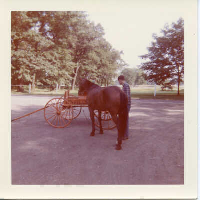 Horse and wagon