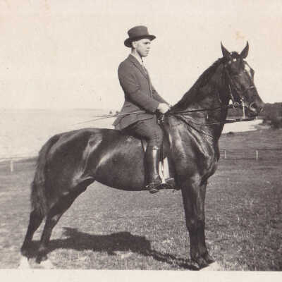 Album, Photograph