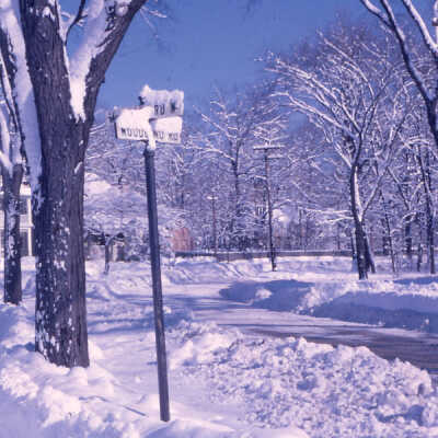 Woodland Road