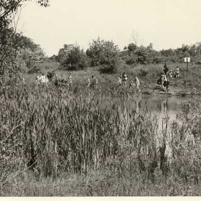 Waveland Park
