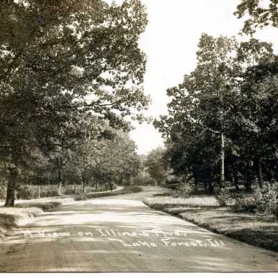 A View on Illinois Ave, Lake Forest, Ill.