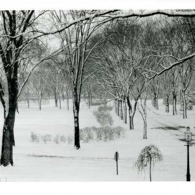 Woodland Road
