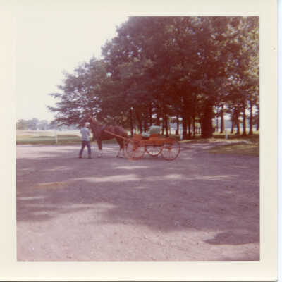 Horse and red wagon