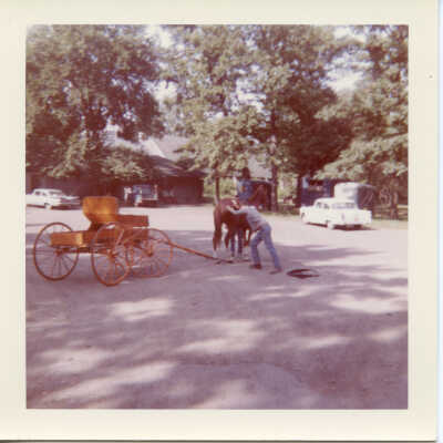 Horse and wagon
