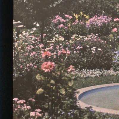 Garden at Havenwood